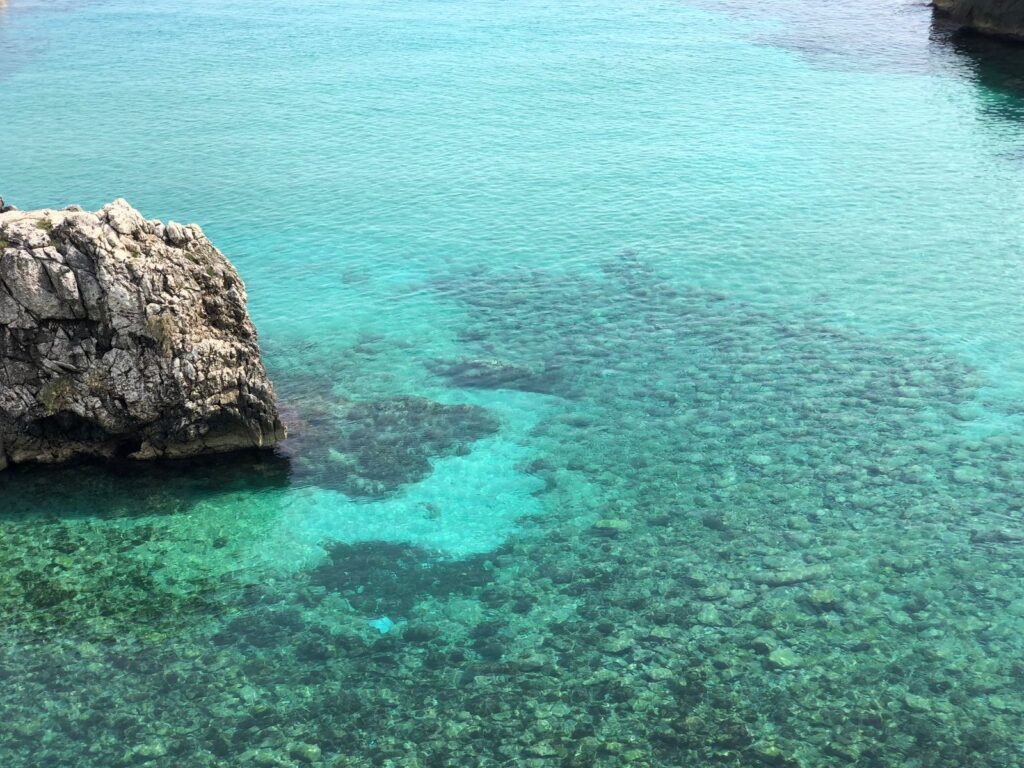 Coluna Maura Robusti 23-01-26 