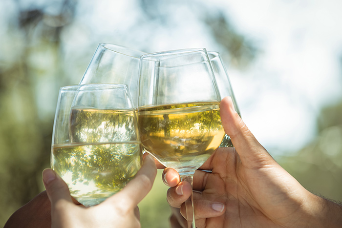 Brinde com taças de Sauvignon Blanc ao ar livre, destacando a leveza e frescor do vinho branco.