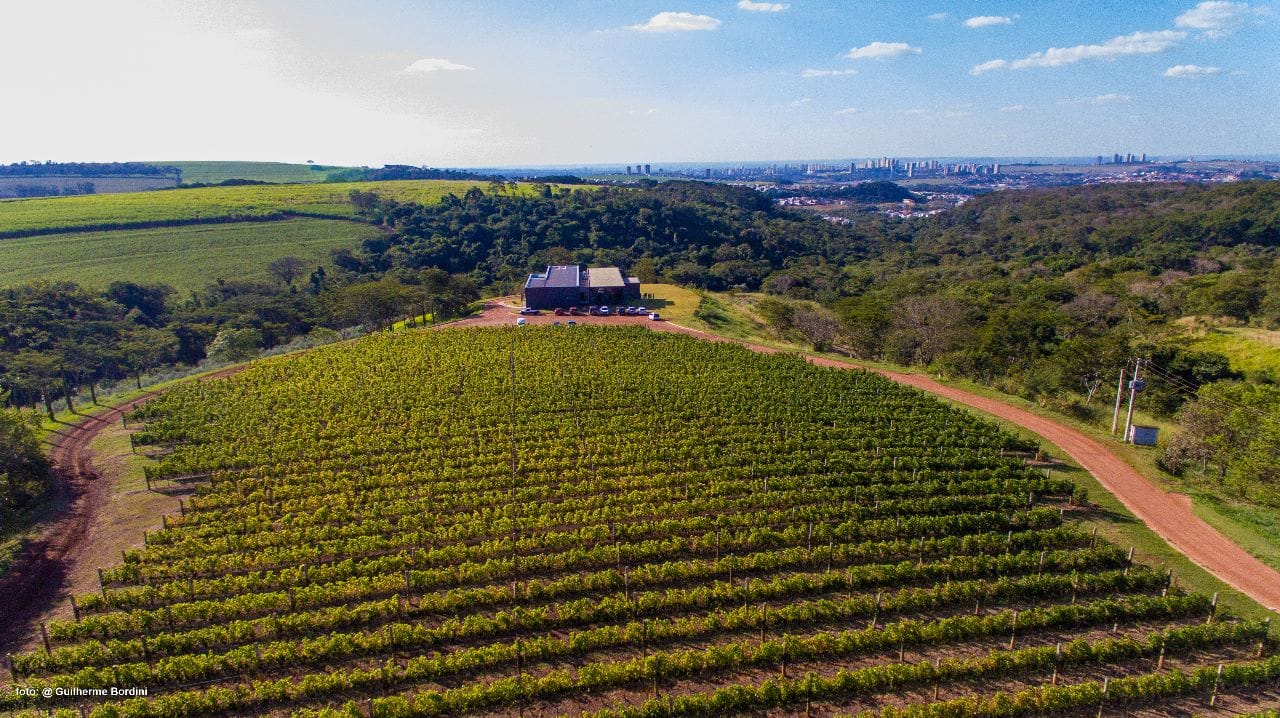 Paisagem da vinícola Terras Altas / Crédito: Guilherme Bordini/Divulgação