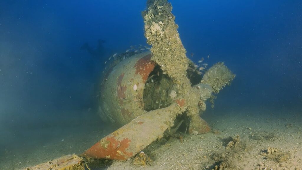 Mergulho em Malta