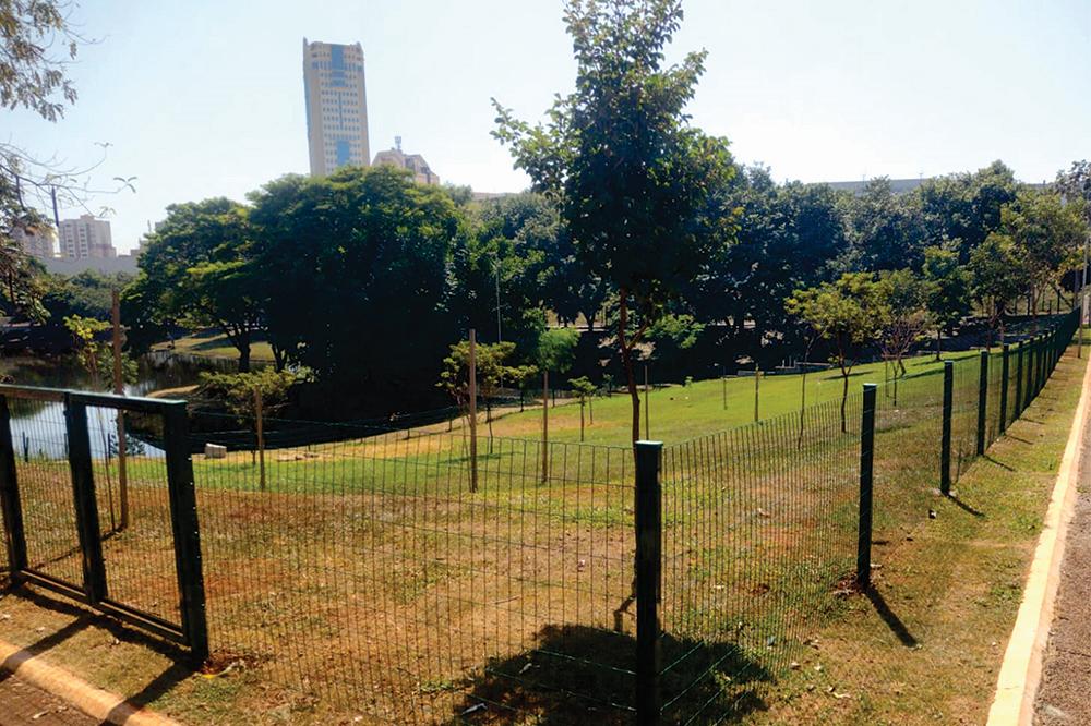 Dog Park no Parque das Artes | Crédito: Divulgação