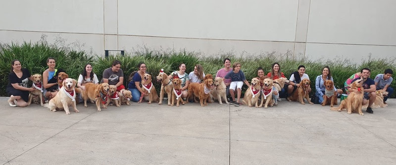 Encontro de Golden Retriever no Iguatemi Ribeirão Preto | Crédito: Divulgação