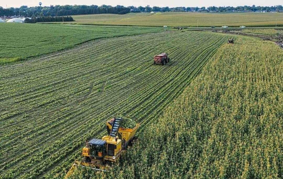 Valorizar o agro no Brasil | Créditos: Divulgação