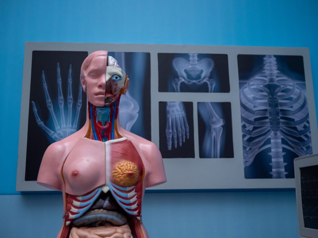 Grey's Anatomy no Iguatemi Ribeirão Preto | Crédito: Divulgação