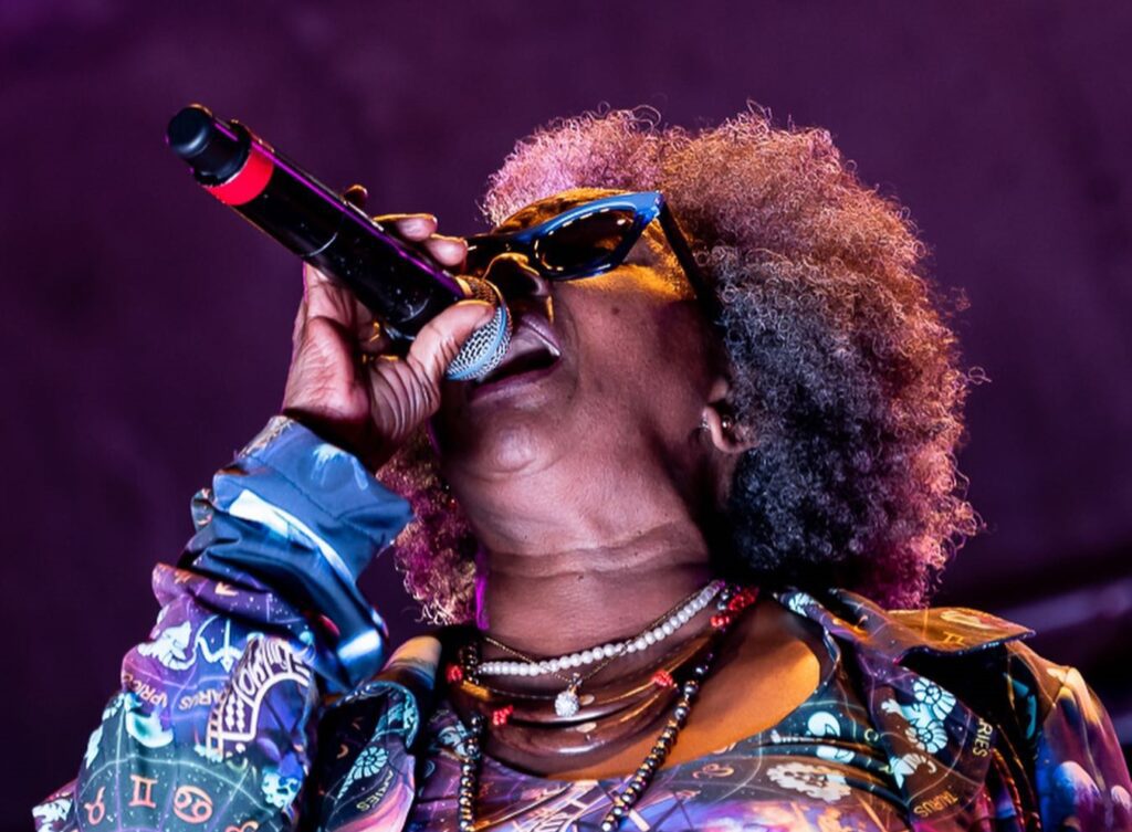 Atração Sandra de Sá fará parte do João Rock 2025 em Ribeirão Preto | Créditos: Facebook Sandra de Sá 