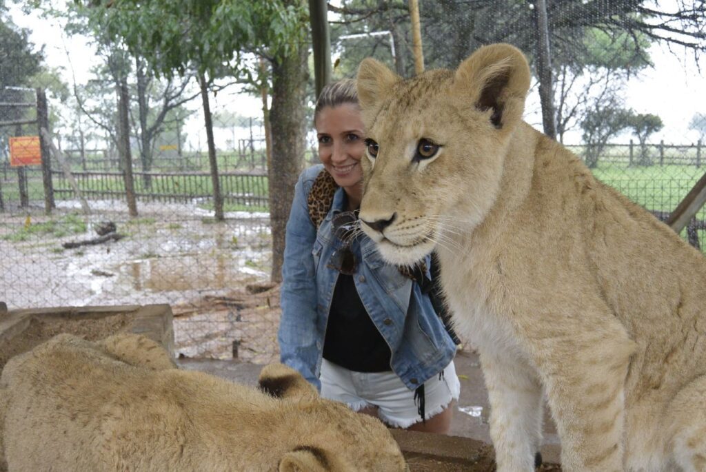Viagem a África do Sul _ Máisa Valochi | Créditos: Arquivo Pessoal