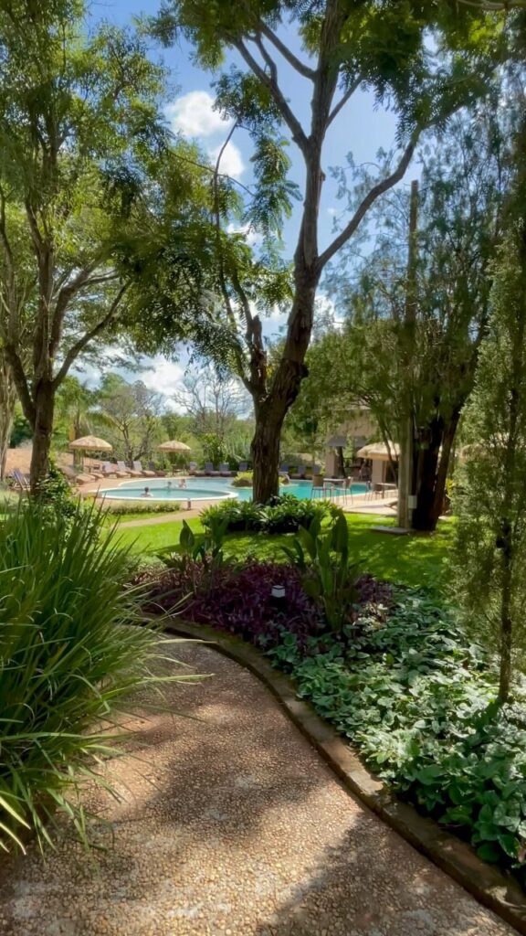 Zumm Review _ Uma pausa na rotina _ Taisa Balzan | Créditos: Divulgação