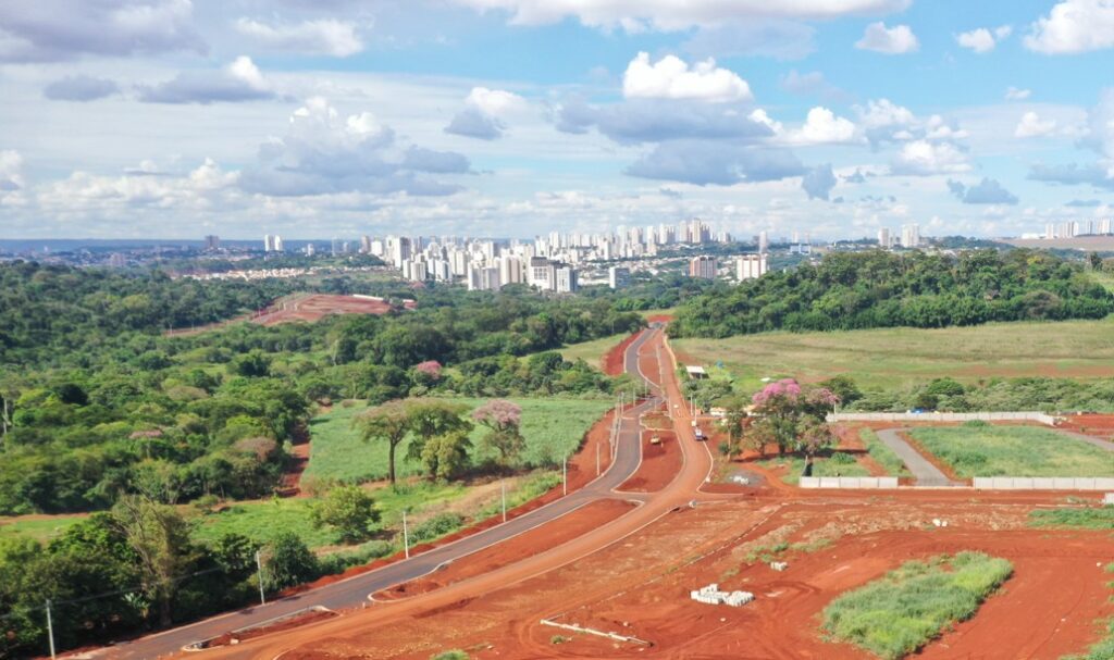 Floresta de bolso, projeto do Instituto Artesano | Crédito: Divulgação