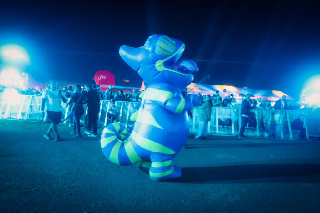 Público do João Rock 2025 | Crédito: Rafael Cautella