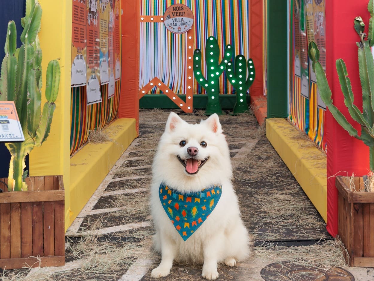 "Cãodrilha" na Villa São João do RibeirãoShopping | Crédito: Divulgação