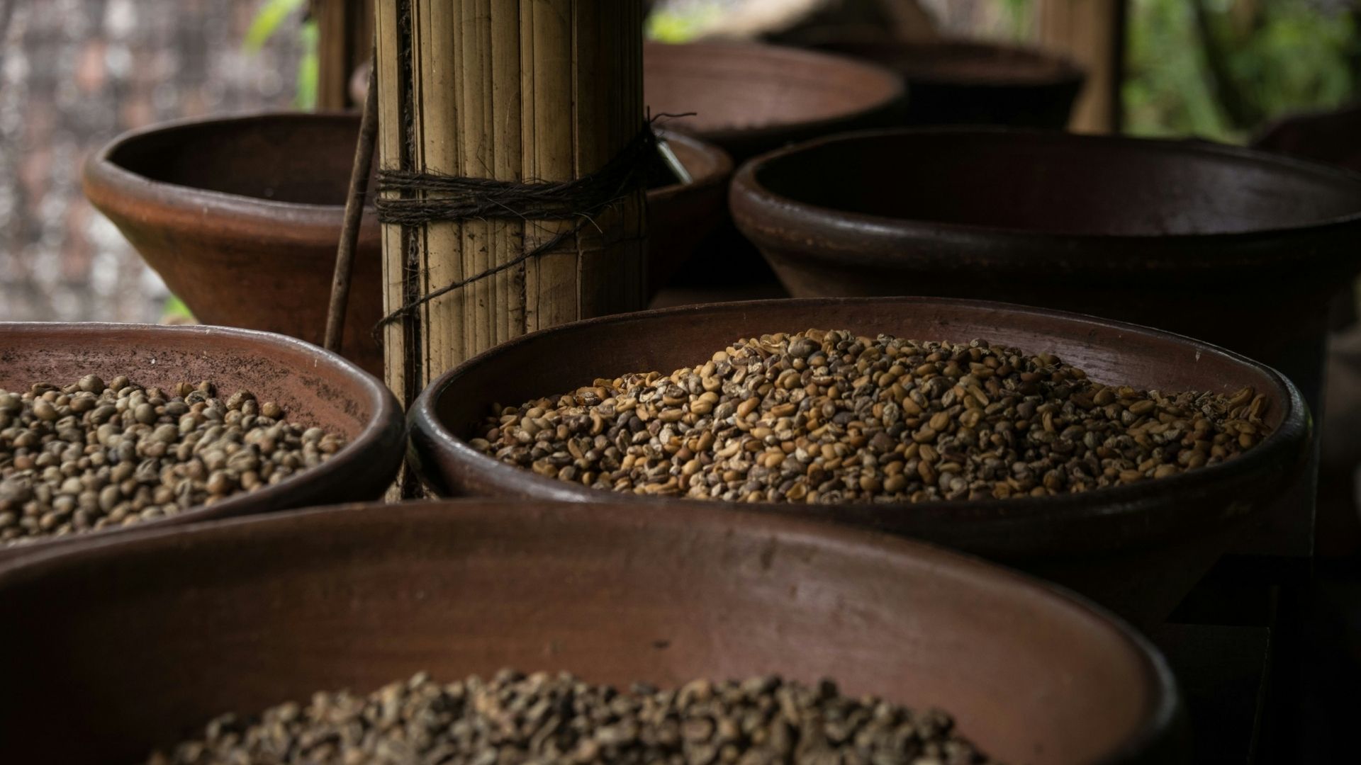 Dispositivo _ Qualidade do café | Créditos: Divulgação