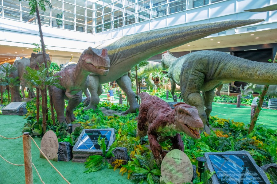 A Dino’s Alive e Dragões exibe mais de 40 réplicas animatrônicas em tamanho real | Crédito: Tábata Barbosa