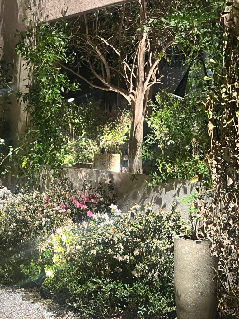 "Jardim à Primeira Vista" na CASACOR 2025 | Crédito: Divulgação