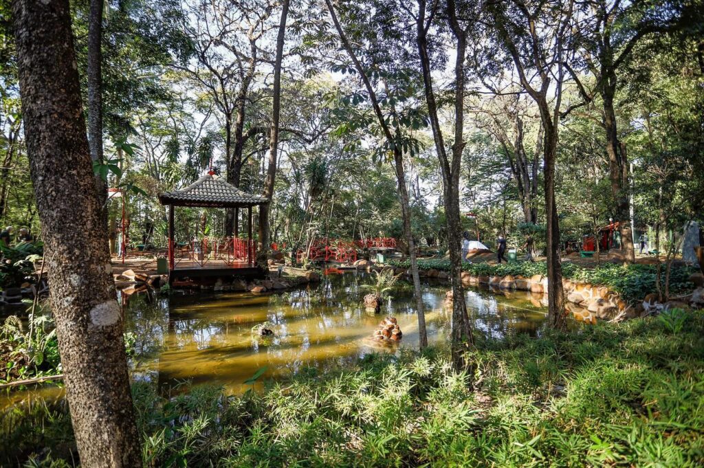 Paisagem do Jardim Japonês em Ribeirão Preto | Créditos: Fernando Gonzaga