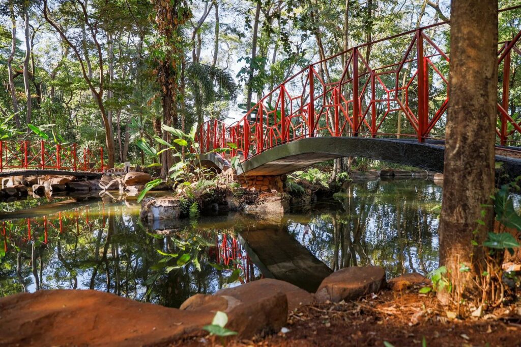 Ponte ornamentada no Jardim Japonês de Ribeirão Preto | Créditos: Fernando Gonzaga