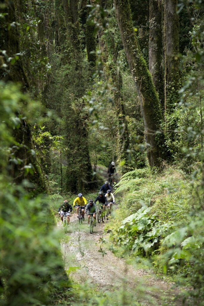 Hotel Chileno Futangue | Foto Divulgação
