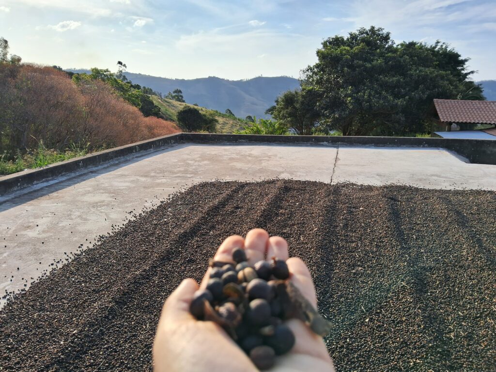 Fazenda do Café Nonno Marchi | Crédito: Amanda Pioli