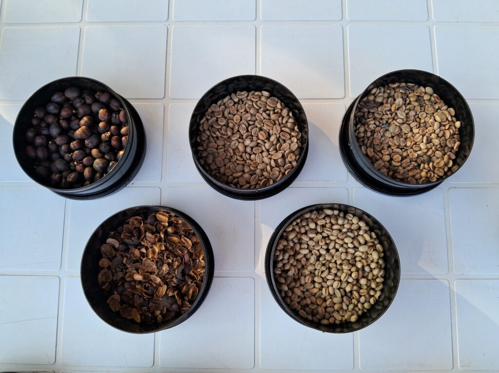 Variedades do Café Nonno Marchi | Crédito: Amanda Pioli