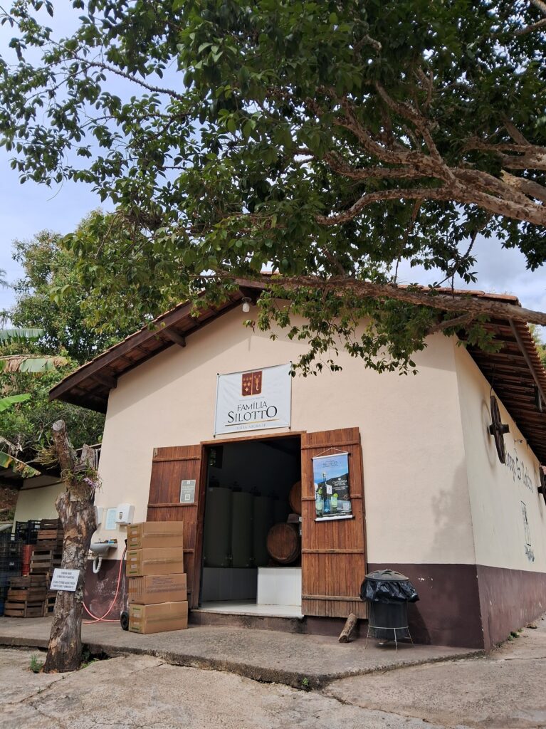 Vinícola Família Silotto | Crédito: Amanda Pioli