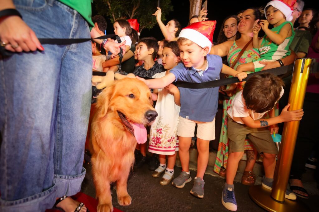 Temporada natalina no Iguatemi Ribeirão se inicia com chegada do Noel | Créditos: Rafael Cautella