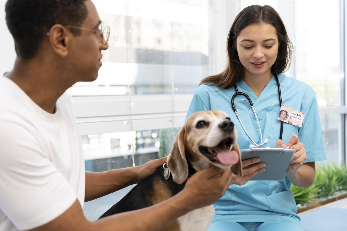 Pets também podem doar sangue e salvar vidas! Saiba como | Créditos: Divulgação