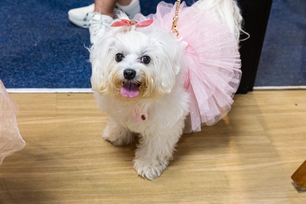 Carnaval 2026 no RibeirãoShopping | Crédito: Tábata Barbosa