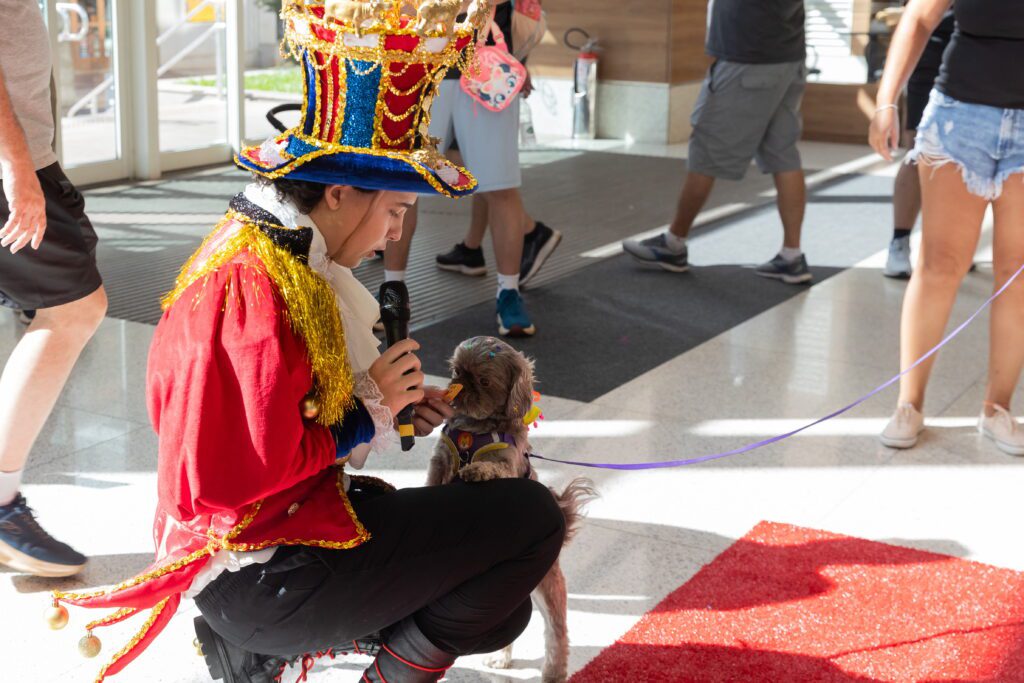 Carnaval 2026 no ShoppingSantaUrsula | Crédito: Tábata Barbosa
