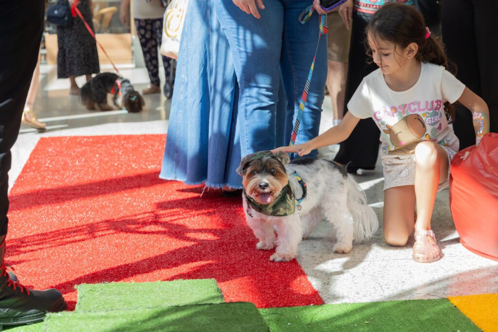 Carnaval 2026 no ShoppingSantaUrsula | Crédito: Tábata Barbosa