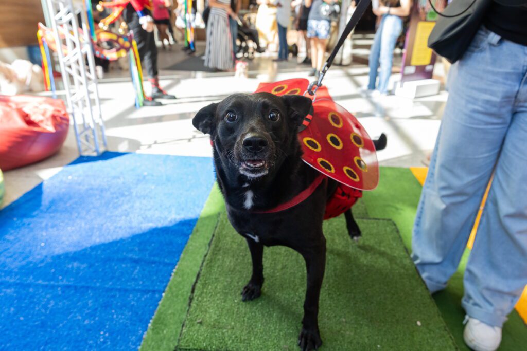 Carnaval 2026 no ShoppingSantaUrsula | Crédito: Tábata Barbosa