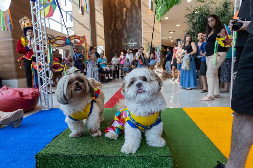 Carnaval 2026 no ShoppingSantaUrsula | Crédito: Tábata Barbosa