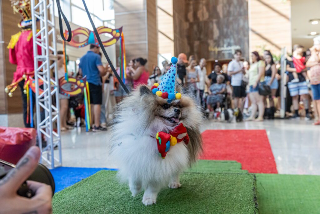 Carnaval 2026 no ShoppingSantaUrsula | Crédito: Tábata Barbosa