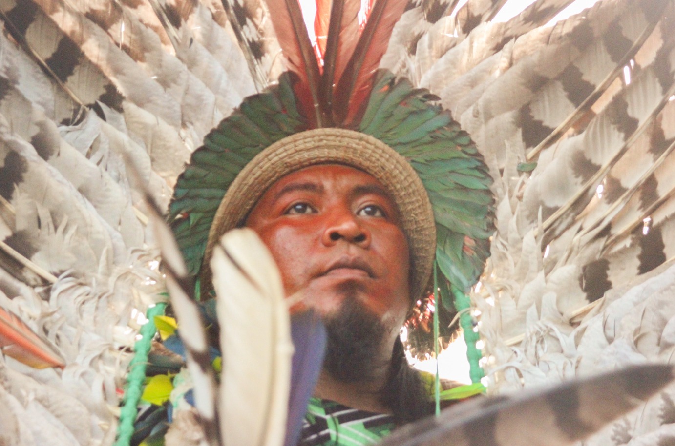 Foto Exposição | Crédito: Luís Silva