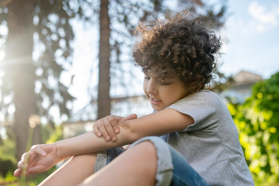 Ditado popular fala em sangue doce que atrai picada de mosquito | Crédito: Freepik