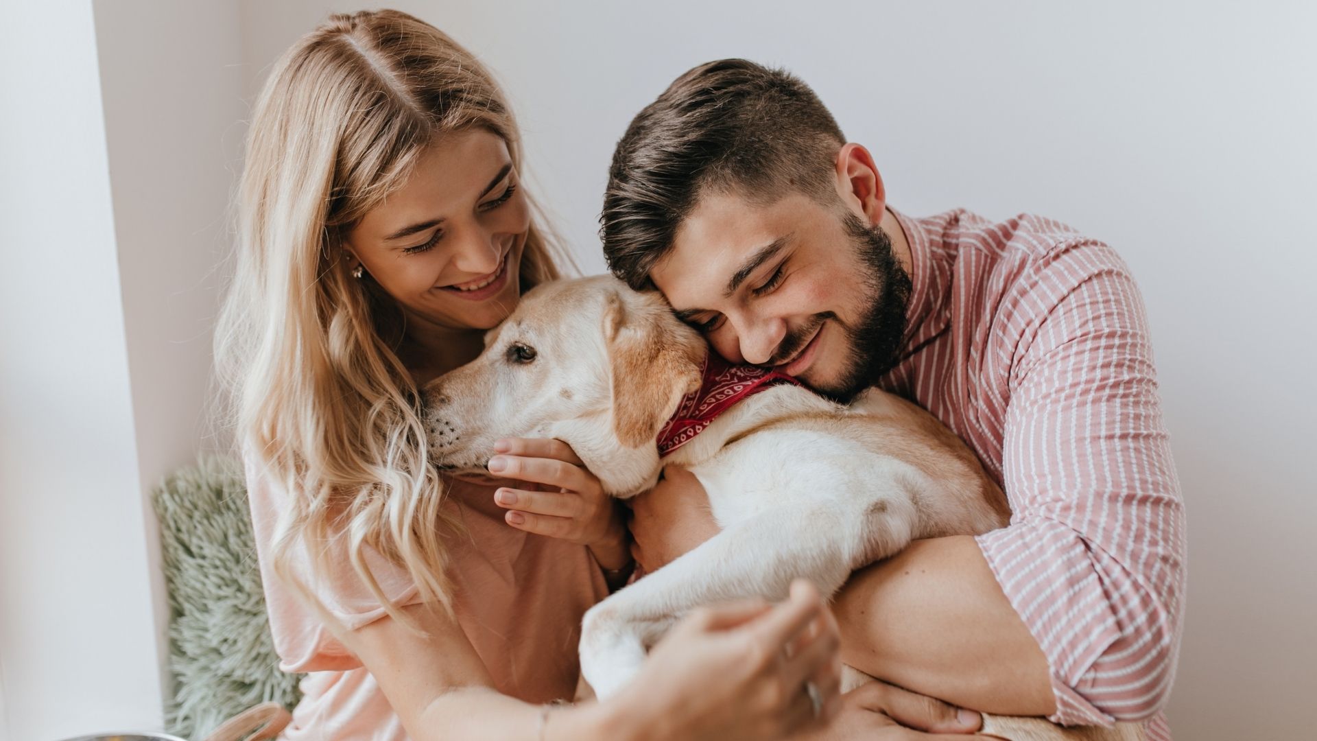 Leis de guarda compartilhada e sepultamento reforçam direitos dos pets