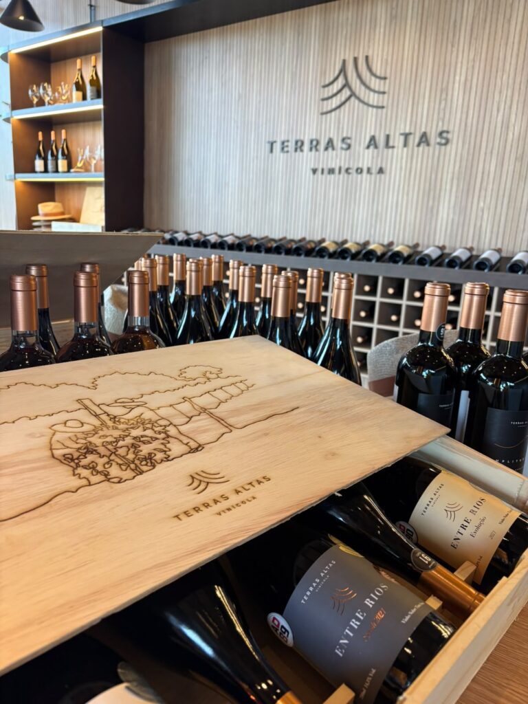 Vinícola Terras Altas 2026 | Crédito: Divulgação