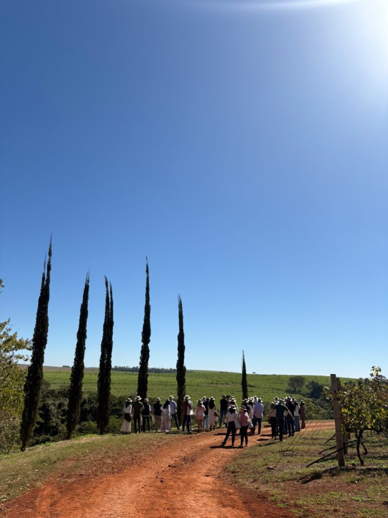 Vinícola Terras Altas 2026 | Crédito: Divulgação