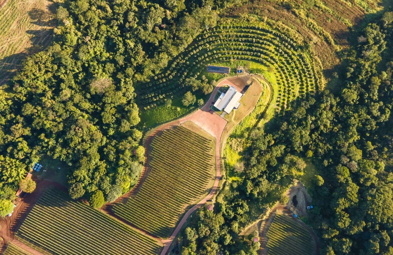Vinícola Terras Altas 2026 | Crédito: Divulgação