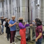 Explicação da produção de vinhos | Crédito: Divulgação