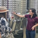 Explicação da produção de vinhos | Crédito: Divulgação